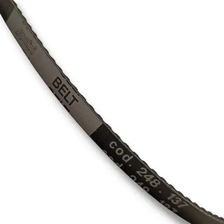 248.137 Cinghia Trasmissione dentata Polini per ciclomotori Piaggio si mono marcia senza variatore e puleggia diametro 90 mm originale