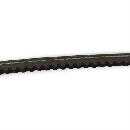 248.137 Cinghia Trasmissione dentata Polini per ciclomotori Piaggio si mono marcia senza variatore e puleggia diametro 90 mm originale