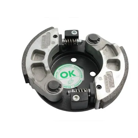 Frizione Honda sh 300 2g (Polini), ricambio 249040