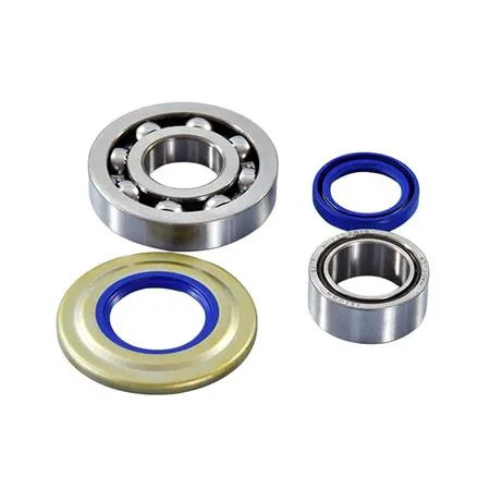 Kit revisione albero motore Polini composto da 2 cuscinetti di banco e 2 paraolio in viton blu per motori Piaggio Vespa PX, PE, Cosa 1 e 2, Sprint Veloce 125, 150 e 200 cc, ricambio 2820007