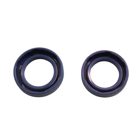 Serie paraoli in teflon albero motore Piaggio (Polini), ricambio 2850001