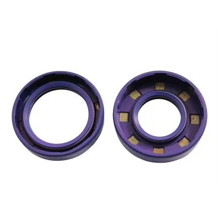 285.0003 Serie paraoli in teflon albero motore mi (Polini)