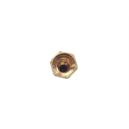 343.0700 Polverizzatore carb. cp