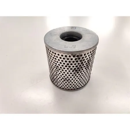 Filtro olio Kawasaki (Polini), ricambio X314