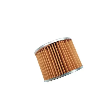 Filtro olio Honda (Polini), ricambio X315