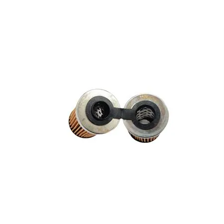 X316 Filtro olio BMW (Polini)