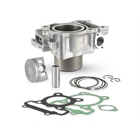 Kit cilindro per Honda Sh 300 i 2007-2019, codice 100081000