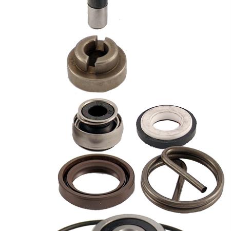 Kit revisione pompa acqua Beverly 250-04-05, ricambio 100110220