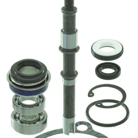 Kit revisione pompa acqua completa RMS per maxi scooter Kymco B&W, Grand Dink, Dink Lx e Dink Classic 125, 150 e 200 cc prodotti dal 1997 in poi, ricambio 100110470