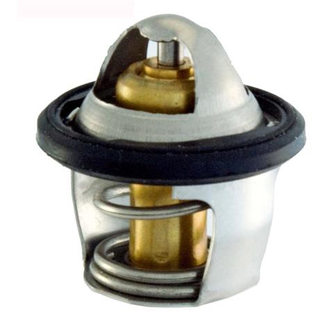 Termostato downtown 300cc, ricambio 100120040