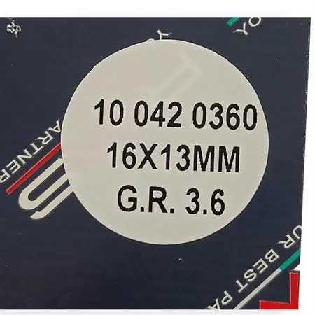 100420360 Kit rulli variatore 16 x 13 6 pezzi 3.6 gr