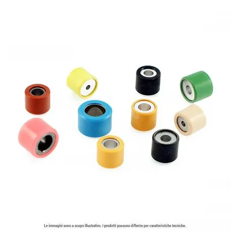 Kit rulli variatore 19 x 15.5 6 pz 4.8 gr, ricambio 100450480