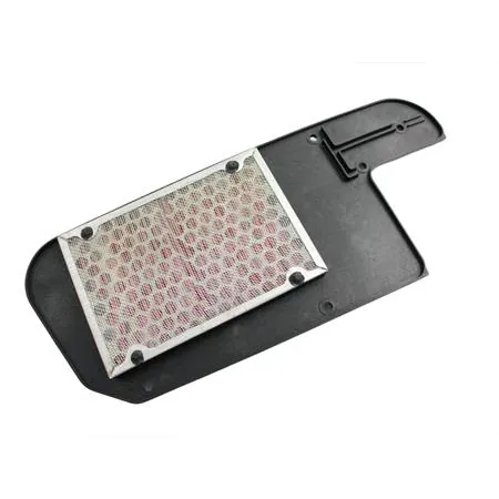 100600780 Filtro aria Honda foresight250