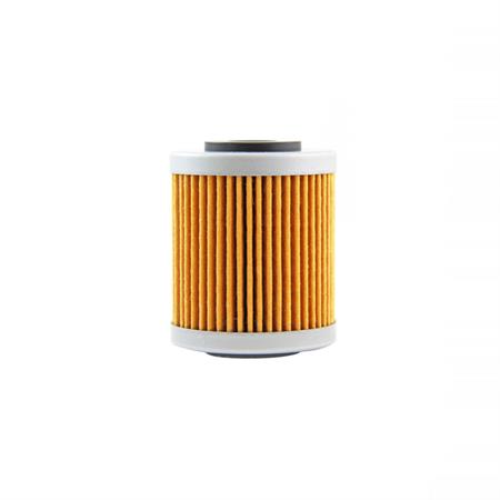 Filtro olio champion cof551, ricambio 100608135