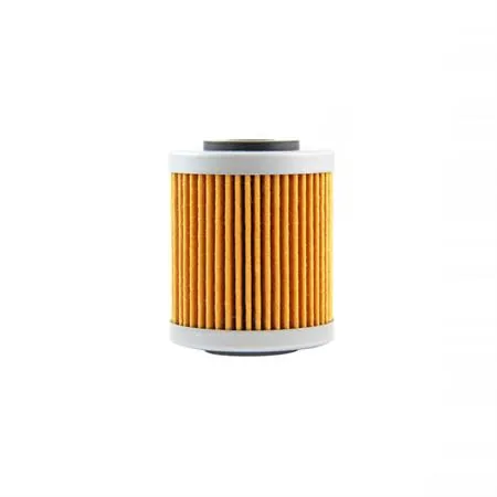 Filtro olio motore Champion COF551 (HF651) per KTM 690 4T dal 2012 e HUSQVARNA 701 4T dal 2016, ricambio 100608135
