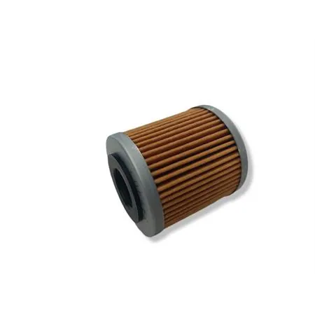 100609805 Filtro olio Champion codice COF463 per maxi moto Aprilia RXV 450 e 550 cc e Husqvarna 250, 450, 510, 530 e 630 prodotti dal 2008 in poi