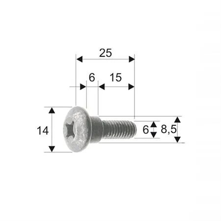 121856101 Vite carrozzeria m6x25  piaggio/gil.