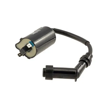 Bobina Kymco-Malaguti-Yamaha 250 2,7 Ohm, codice 246010092