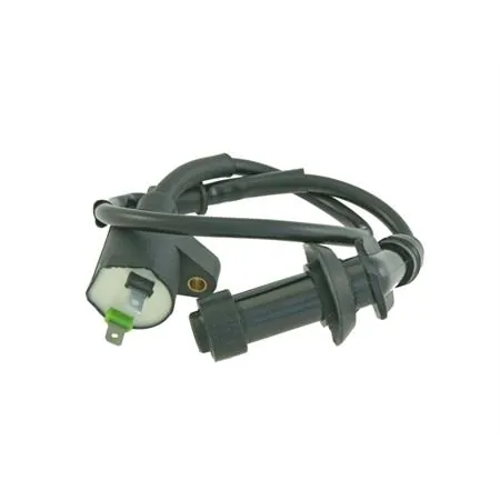 Bobina Sym Joyride 125-200cc 3051ah9a000, codice 246010162