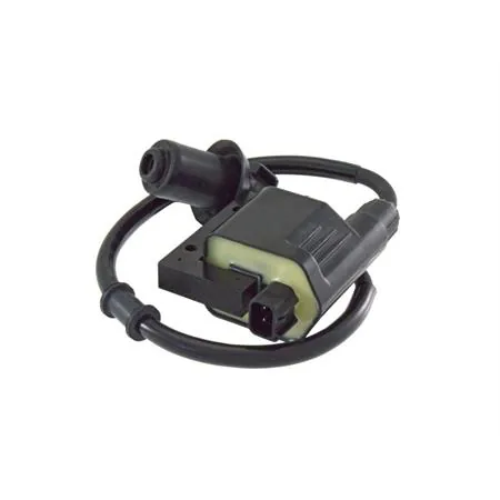 Bobina Kymco Agility r16 200cc 00130026, codice 246010172