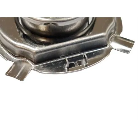 Lampadina RMS alogena, 12 Volt 60 55W H4 omologata, con vetro bianco, ricambio 246510055