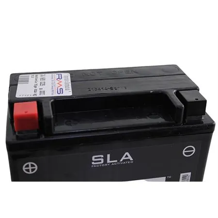 246650225 Batteria BS SLA BTX12 12 Volt - 10 Ah