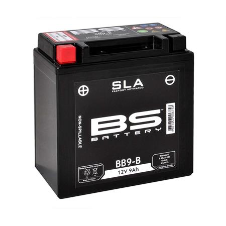Batteria BS SLA BB12AL-A2 12 Volt - 12 Ah, ricambio 246650415