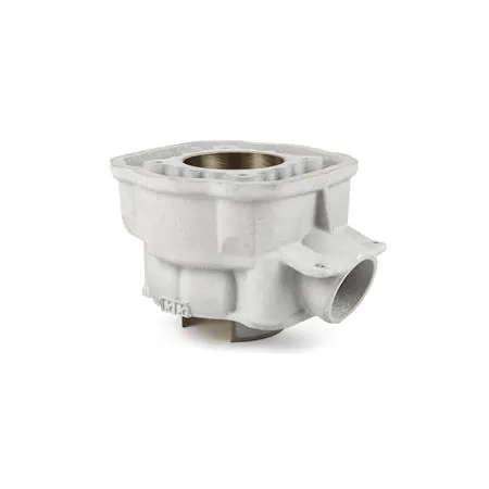 Maxi kit stage6 88 cc Big Racing corsa 45 mm per motori Minarelli AM6 completo di albero, gruppo termico e cuscinetti banco e paraolio banco, ricambio S67018820PACK