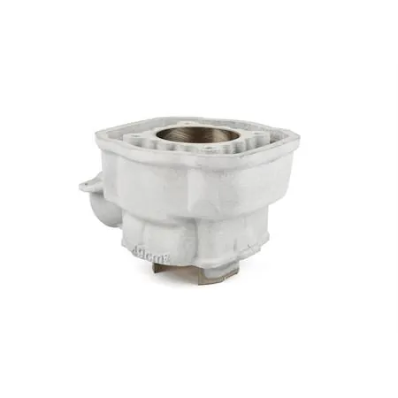 Maxi kit stage6 88 cc Big Racing corsa 45 mm per motori Minarelli AM6 completo di albero, gruppo termico e cuscinetti banco e paraolio banco, ricambio S67018820PACK