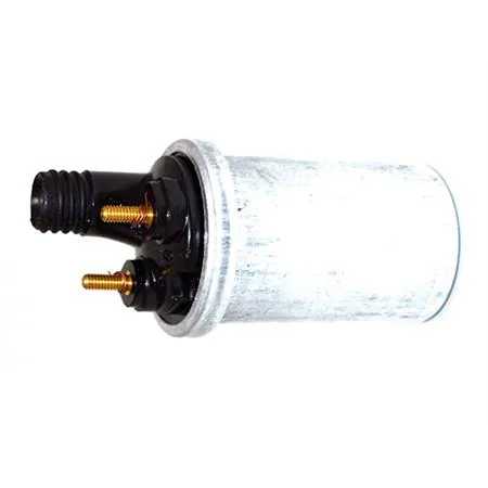 Bobina alta tensione 12v con forma a bottiglia tipo piccolo, ricambio 004770