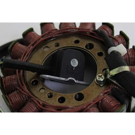 Statore adattabile Yamaha Majesty 250 (00/-), ricambio 163059