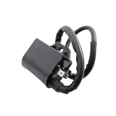 Bobina centralina CDI completa di cavo per scooter 50 con motore Franco morini, ricambio 173404