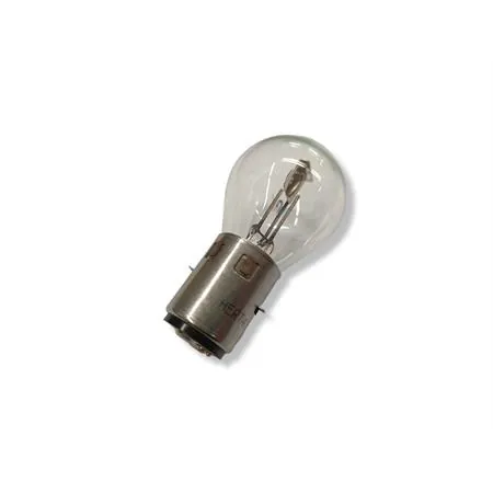 200529 Lampadina SGR 12 Volt 25/25 Watt BA20D