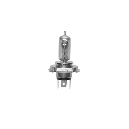 Lampadina SGR 12 Volt 60/55 Watt H4 E13, xenon alogena, ricambio 2080454