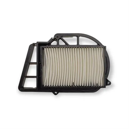 264498 Filtro aria carter motore Majesty250 (00--)