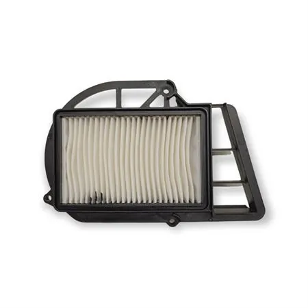264498 Filtro aria carter motore Majesty250 (00--)