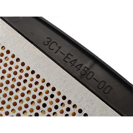 Filtro aria Sgr per Yamaha YZF 125 r - WR 125 R e X - MT 125 e MT 125 A prodotte dal 2008 fino al 2019, ricambio 264753