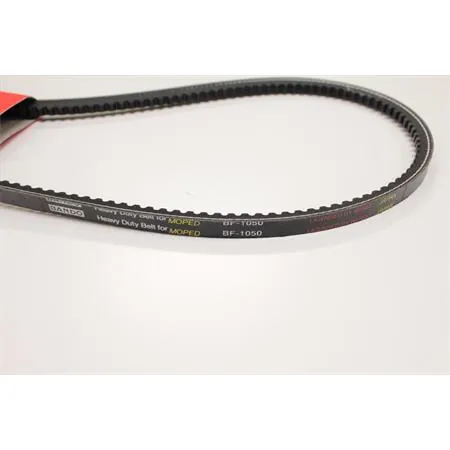 273129 Cinghia di trasmissione Bando dentato per ciclomotori Piaggio bravo senza variatore (SGR)