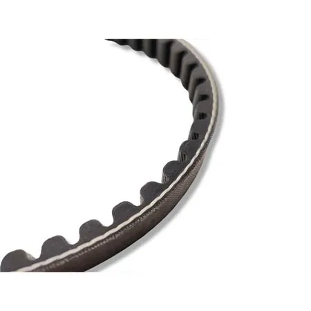 Cinghiolo bando SGR per scooter Peugeot modello Buxy, Squab, Speedake 50 cc 2 tempi con correttori e variatore originale, ricambio 273714