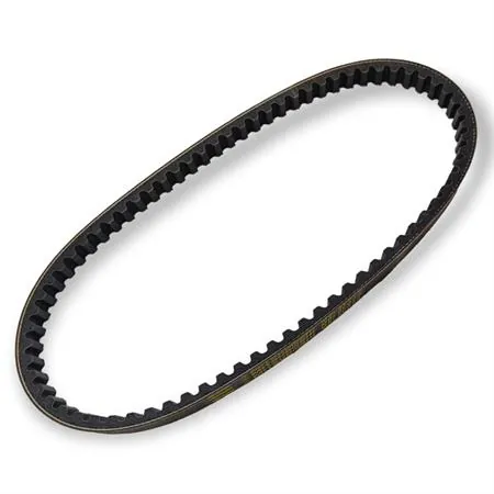 2771841 Cinghia di trasmissione Mitsuboshi sfera 125 fl-et4-125