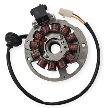 Statore 12 poli Ducati Energia per scooter Malaguti 50 Euro2/2.3 dal 2002 - Originale