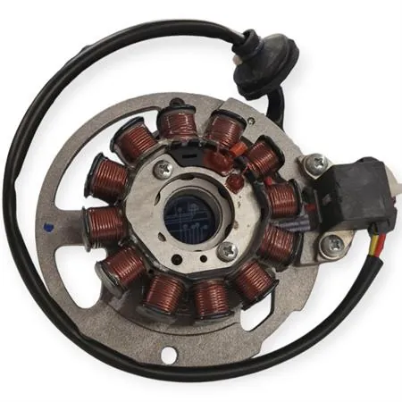 31142012 Statore 12 poli Ducati Energia per scooter Malaguti 50 Euro2/2.3 dal 2002 - Originale