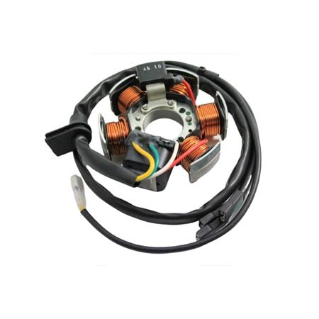 Statore originale Ducati senza piastra di fissaggio per motori Minarelli serie AM345, AM6 cavo giallo euro 0 e 1 a 6 poli, ricambio 3196469