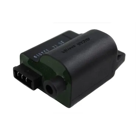 329019 Centralina elettronica CDI Ducati per motorizzazioni Piaggio 50 Hi Per 2 euro 2 aria e liquido (SGR, Denso, Leonelli, Hyflo, Yuasa)