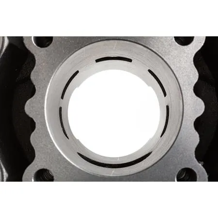 602091 Fusibile a lama 5 Ampere (C50)