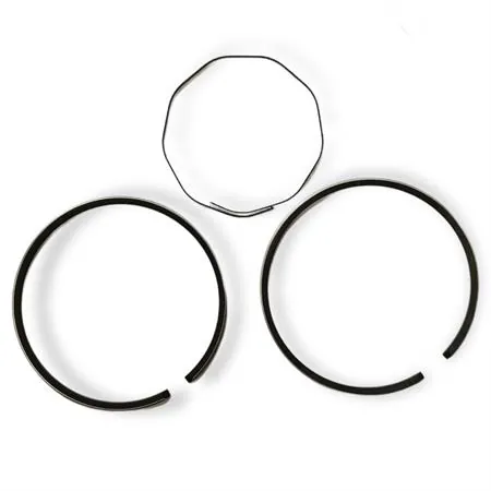 1312AGA1900 Fasce elastiche pistone originali sym per scooter 50 2t