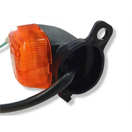33600P1A020 Lampeggiatore poster. destro (SYM)