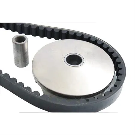 Variatore top performance con cinghiolo, ricambio 9910780