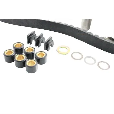 Variatore top performance con cinghiolo, ricambio 9910780