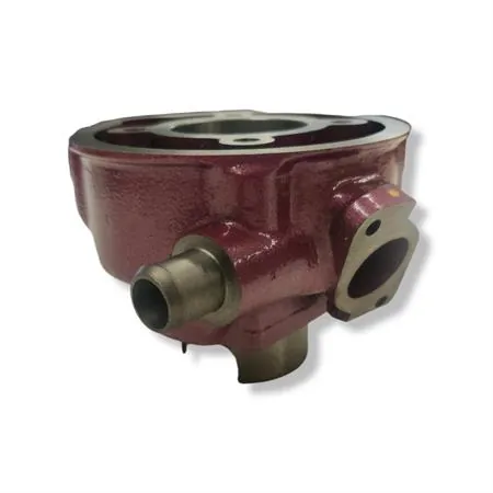 Motore gruppo termico Racing Due Plus in ghisa con testa monopezzo raffreddamento a liquido, ricambio 9912800